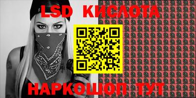 прущие грибы Можга