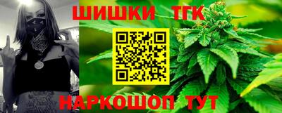 прущие грибы Можга