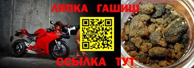прущие грибы Можга