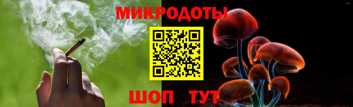 Псилоцибиновые грибы Psilocybe Ярцево